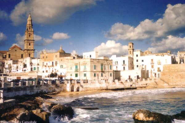 monopoli - la-magnolia-apulian-bed-and-breakfast-rooms-pool-relax-discover-polignano-009 monopoli - la-magnolia-apulian-bed-and-breakfast-rooms-pool-relax-discover-polignano-009