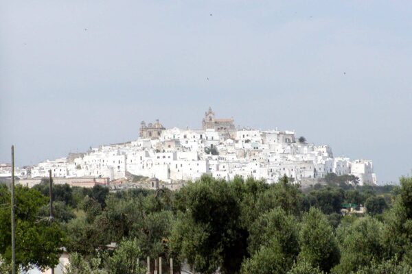 ostuni - la-magnolia-apulian-bed-and-breakfast-rooms-pool-relax-discover-polignano-028 ostuni - la-magnolia-apulian-bed-and-breakfast-rooms-pool-relax-discover-polignano-028