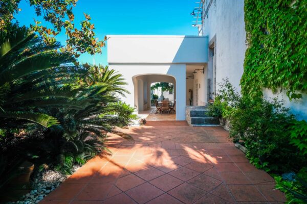struttura-storia-la-magnolia-apulian-bed-and-breakfast-rooms-pool-relax-discover-polignano-007 struttura-storia-la-magnolia-apulian-bed-and-breakfast-rooms-pool-relax-discover-polignano-007
