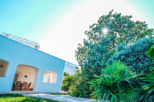 struttura-storia-la-magnolia-apulian-bed-and-breakfast-rooms-pool-relax-discover-polignano-012 struttura-storia-la-magnolia-apulian-bed-and-breakfast-rooms-pool-relax-discover-polignano-012